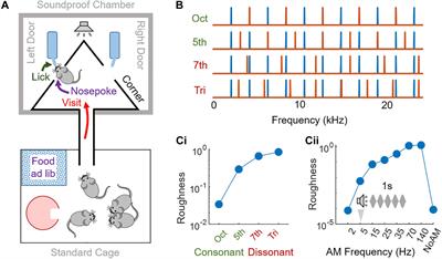 Spontaneous Mouse Behavior in Presence of Dissonance and Acoustic Roughness